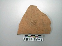 藏品(紅色夾砂葉紋陶片)的圖片